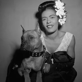 عکس Billie Holiday — خواننده در TapSeda