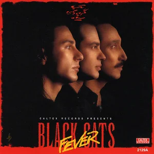 عکس بلک کتس (Black Cats) — خواننده در TapSeda
