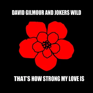 عکس دیوید گیلمور (David Gilmour) — خواننده در TapSeda