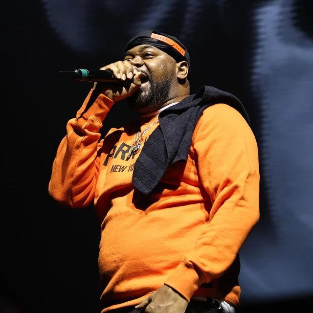 عکس Ghostface Killah — خواننده در TapSeda
