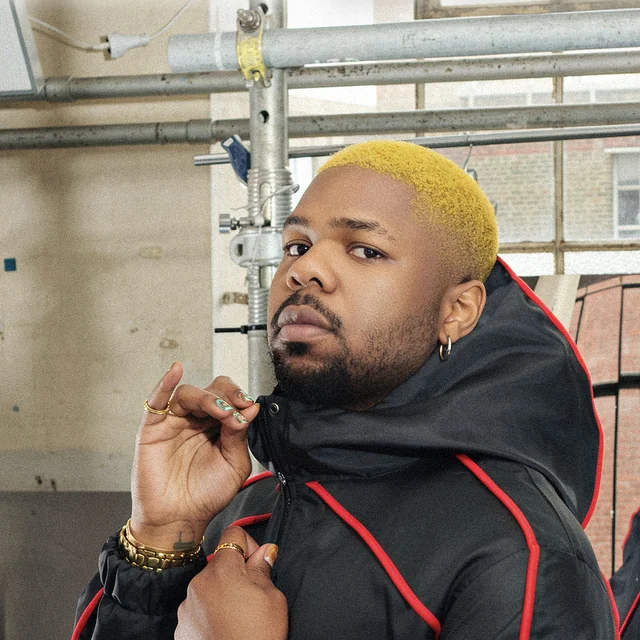 عکس MNEK — خواننده در TapSeda