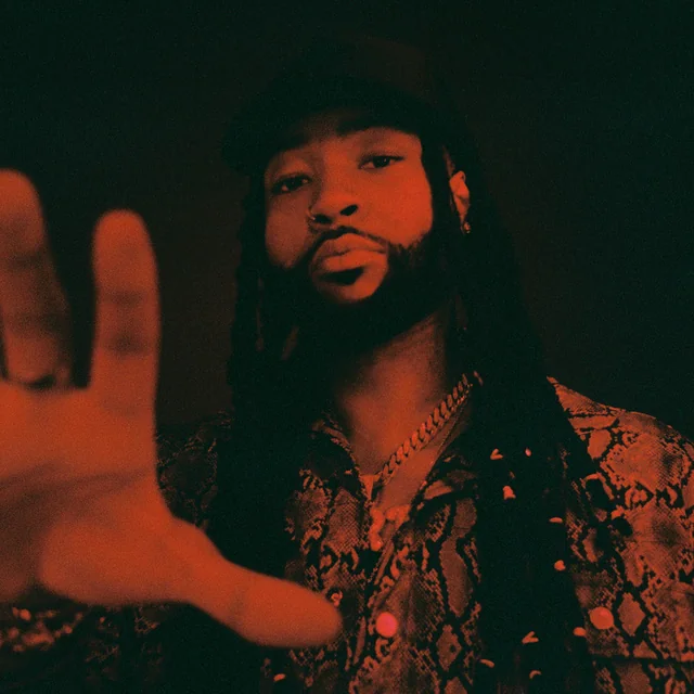 عکس پارتی‌نکست‌دور (PARTYNEXTDOOR) — خواننده در TapSeda