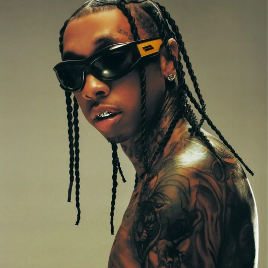 عکس تایگا (Tyga) — خواننده در TapSeda
