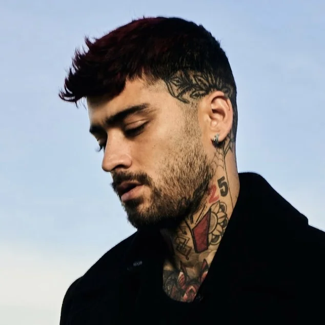 عکس زین (Zayn) — خواننده در TapSeda