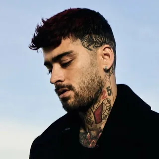 عکس زین (Zayn) — خواننده در TapSeda
