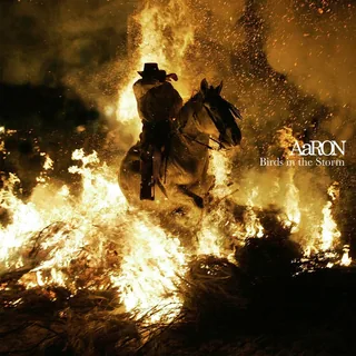 Embers