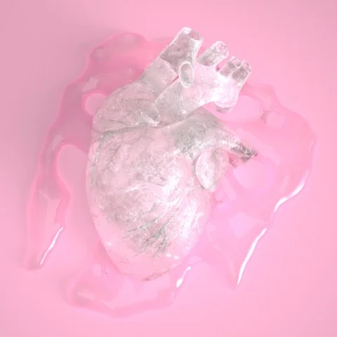 froze over