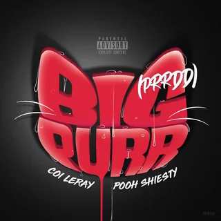 BIG PURR Prrdd