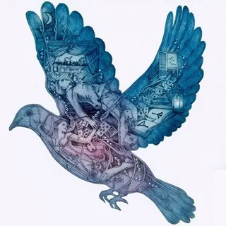 Fly On From dibamusics