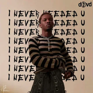 i never needed u