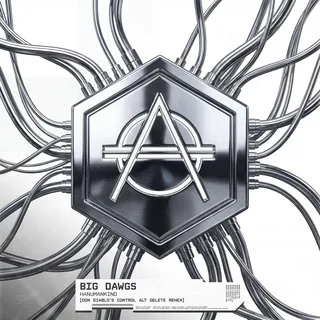 Big Dawgs ft. Kalmi (Don Diablo's Control Alt Delete ReHex)