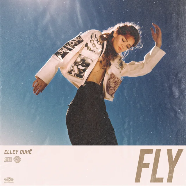 Fly