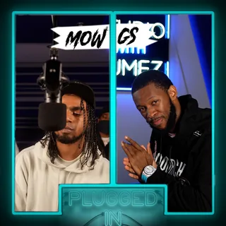 Mowgs