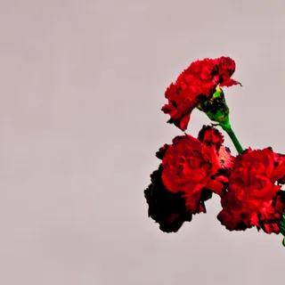 Angel Interlude Ft Stacy Barthe