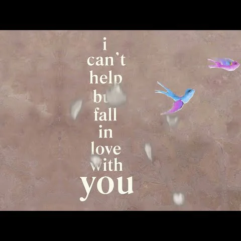 i can t help it