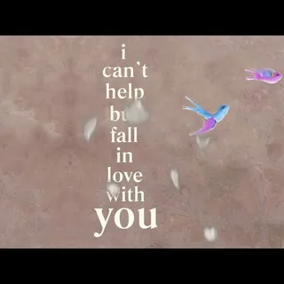 i can t help it