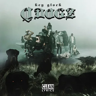 Q Dogz