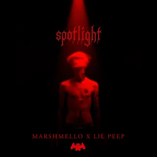 Spotlight w/ Marshmello