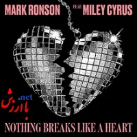 Nothing Breaks Like a Heart