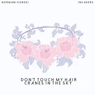 Solange - Don't Touch My Hair x Cranes in the Sky (Normani Kordei Mashup Cover)