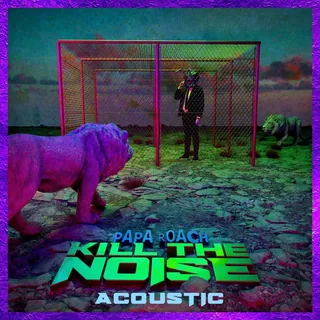 Kill The Noise