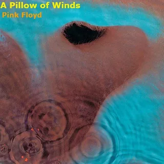 A Pillow Of Winds