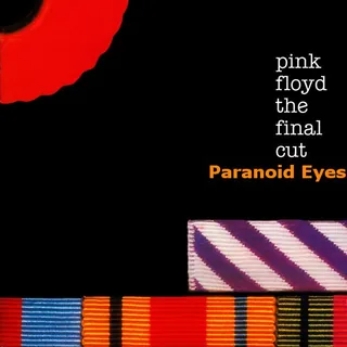 Paranoid Eyes
