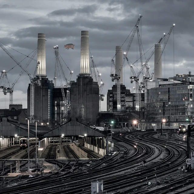 Sheep