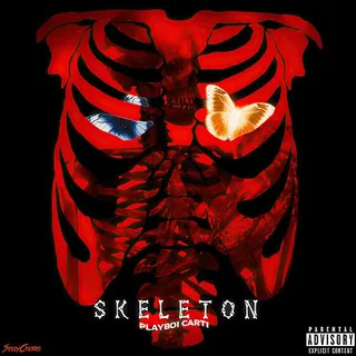 Skeleton