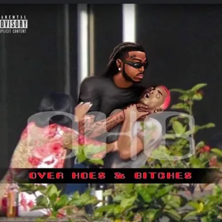 Over Hoes & Bitches
