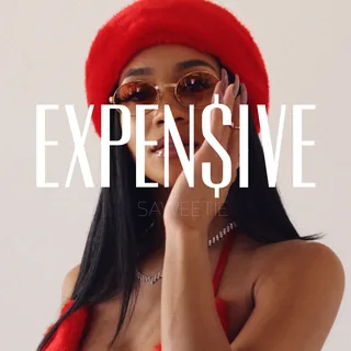 EXPEN$IVE