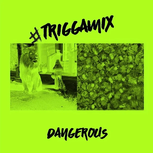 TRIGGAMIX
