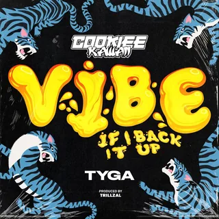 Vibe If I Back It Up