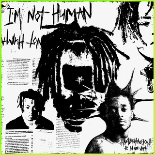 I m Not Human