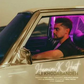 Hamini K Hast