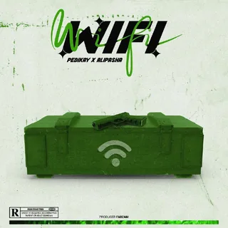 WiFi