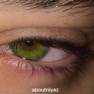 her eyes