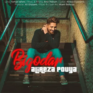 Bigodar