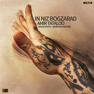 In Niz Bogzarad