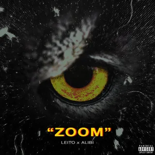 Zoom