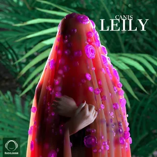 Leily
