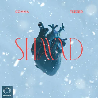 Shayad