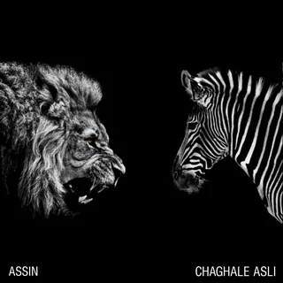 Chaghale Asli