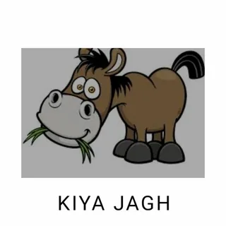 KIYA JAGH ×