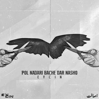 POL NDARI BACHE DAR NASHO