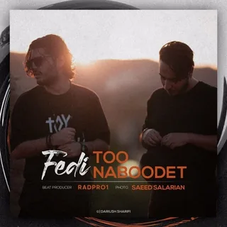 Too Naboodet