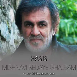 Mishnavi Sedaye Ghalbam