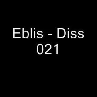 Diss 021