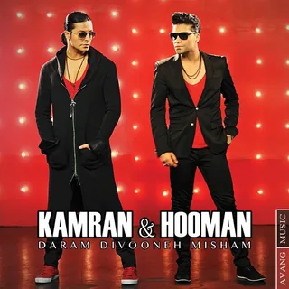 Daram Divooneh Misham