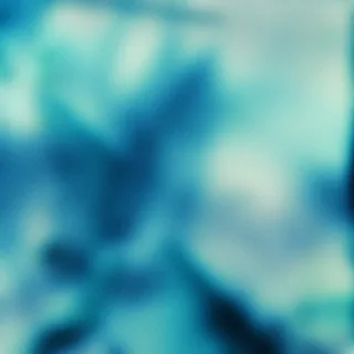 Boro II
